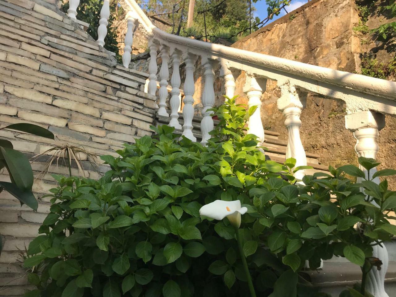 Guest House Himaj Berati Exterior foto